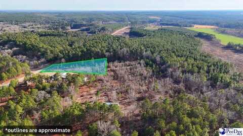 0 Hartsville Ruby Rd Lot 21, Hartsville, SC 29550