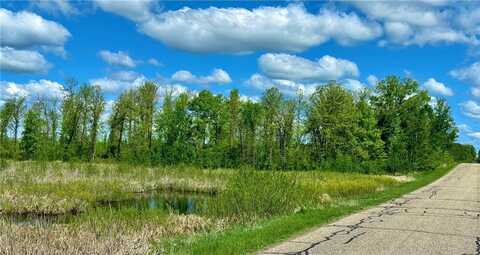 Xxx 160th Avenue, Turtle Lake, WI 54889