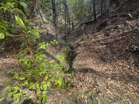 122 Acres Off USFS Road 46N76, Happy Camp, CA 96039
