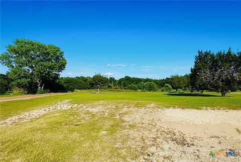 Tbd Woodhollow Road, Gatesville, TX 76528