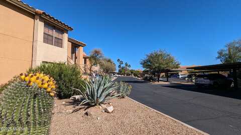 6651 N Campbell Avenue, Tucson, AZ 85718