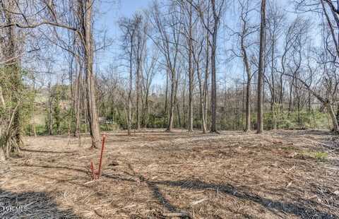 Tbd East Tenth Extension Avenue, Johnson City, TN 37601