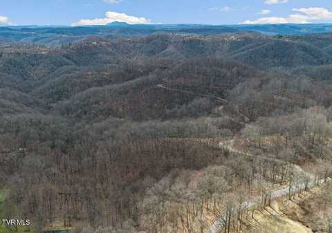 1 Reynolds Ridge Road, Cedar Bluff, VA 24609
