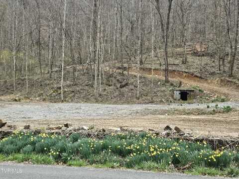 Right Poor Valley Road, Dryden, VA 24243