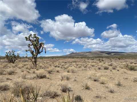 327-06-017 PALM, Dolan Springs, AZ 86441