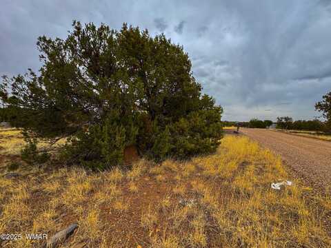 8512 Canyon Drive, Show Low, AZ 85901