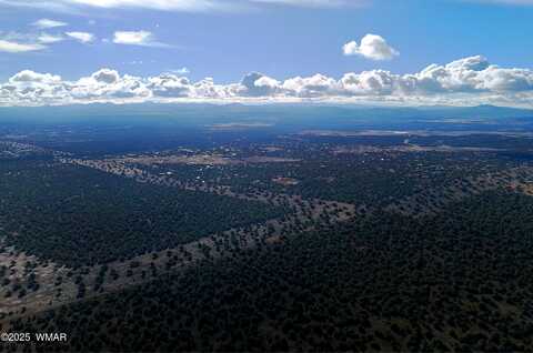 Tbd Silver Lake Blvd Lot 1 8.16 Ac, Show Low, AZ 85901