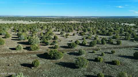 Tbd Silver Lake Blvd Lot 1 8.16 Ac, Show Low, AZ 85901