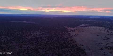 Tbd Silver Lake Blvd Lot 5 8.16 Ac, Show Low, AZ 85901