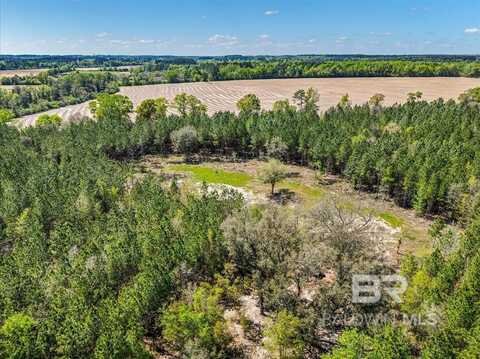 22544 Lechner Road, Robertsdale, AL 36567