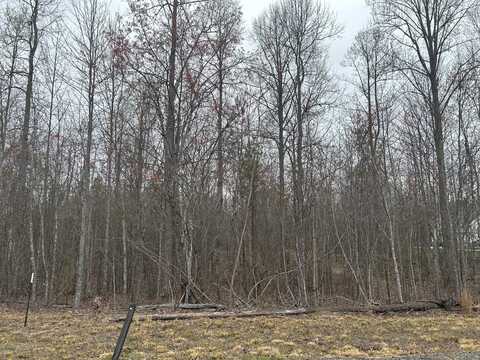 0 Volunteer Street, Jasper, TN 37347