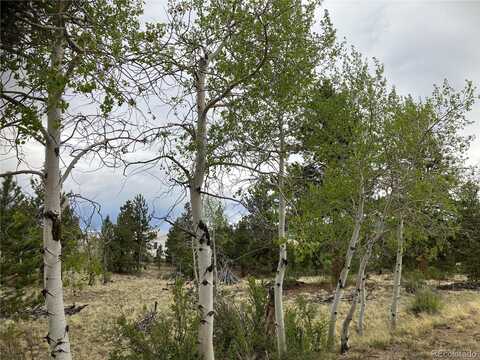 256 Bandana Road, Hartsel, CO 80449