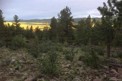 256 Bandana Road, Hartsel, CO 80449