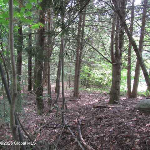 L24 Van Rensselaer Drive, Edinburg, NY 12134
