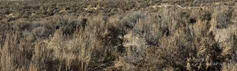1st Street, Spring Creek, NV 89815