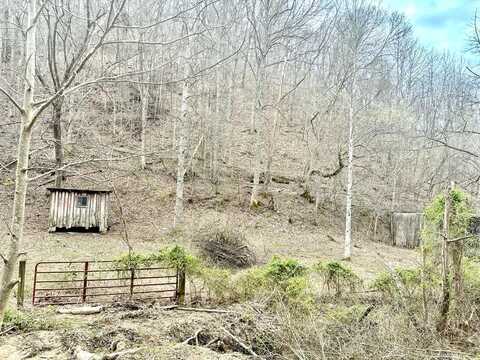 30 Right Fork Ousley Branch, Prestonsburg, KY 41653
