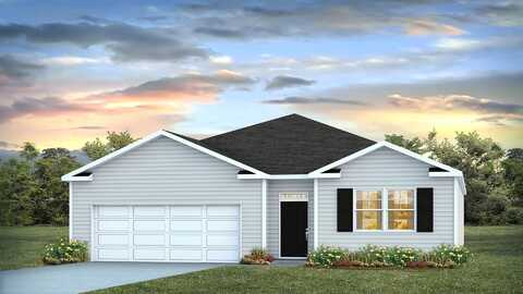 203 Birdsill Street, STATESBORO, GA 30461