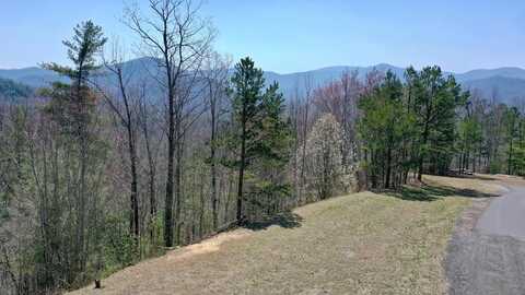 G1 E Hampshire Drive, Whittier, NC 28789