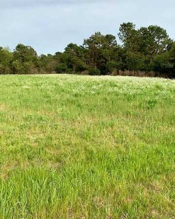 2405 HWY 88, Hephzibah, GA 30815