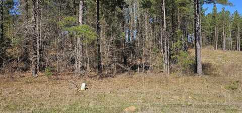 107 LOBLOLLY Lane, Hephzibah, GA 30815