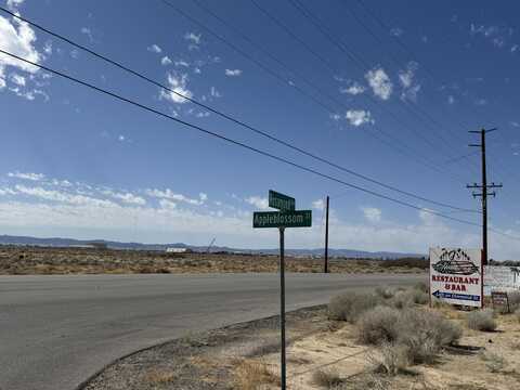 Rosamond Boulevard, Rosamond, CA 93560
