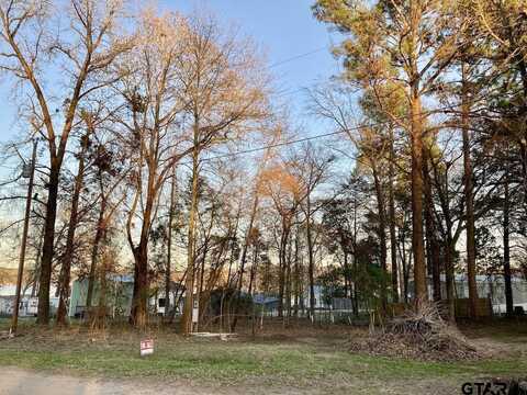 262 E Walnut Trail, Murchison, TX 75778