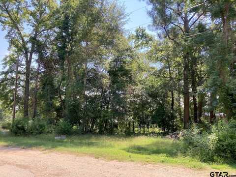 262 E Walnut Trail, Murchison, TX 75778