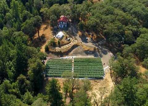 3806 Thomas Road, Miranda, CA 95553