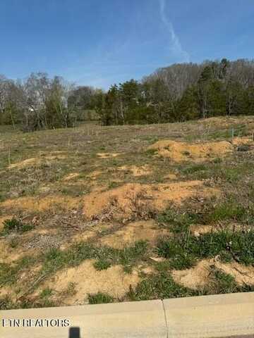 1814 Melton Meadows Dr Drive, Maryville, TN 37803