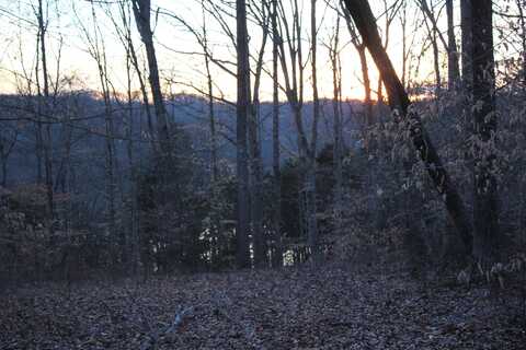 Anchor Way lot: 40, Jamestown, KY 42629
