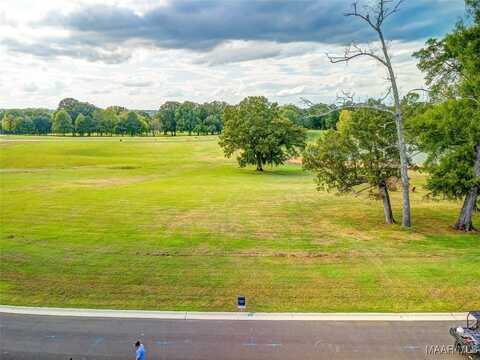 Hidden Oaks Avenue lot: 23, Pike Road, AL 36064