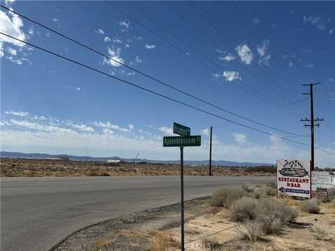 0 Rosamond Boulevard, Rosamond, CA 93560