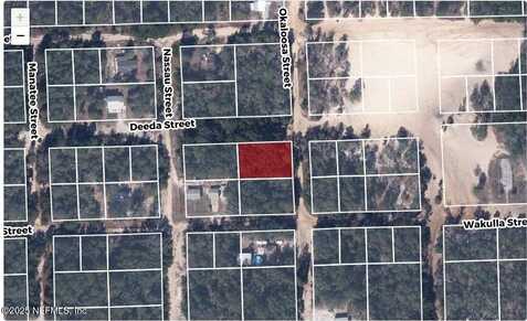 607 DEEDA Street, Florahome, FL 32140