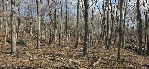 Cowaw Road, Milford, PA 18337