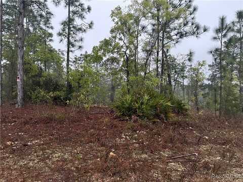 5923 N Buffalo Drive, Beverly Hills, FL 34465