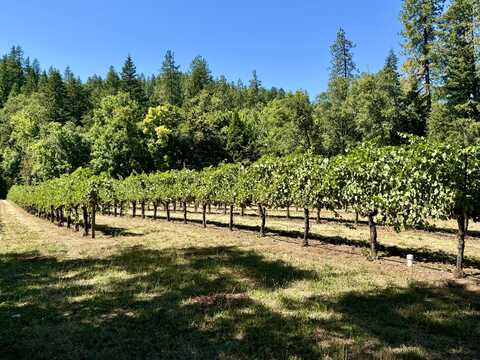350 Mona Way, Cave Junction, OR 97523