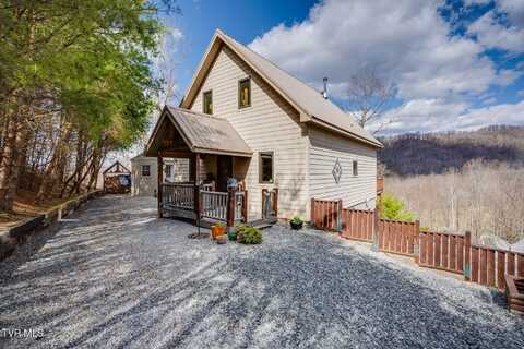 408 Eagle Ridge Road, Roan Mountain, TN 37687