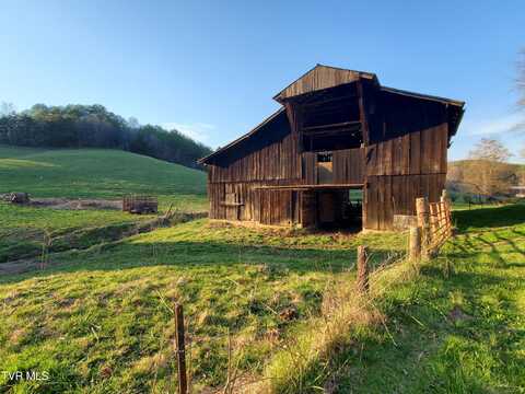 Tbd 49.60 Looney Road, Parrottsville, TN 37843