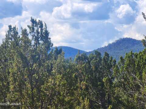23 N 3084, Vernon, AZ 85940