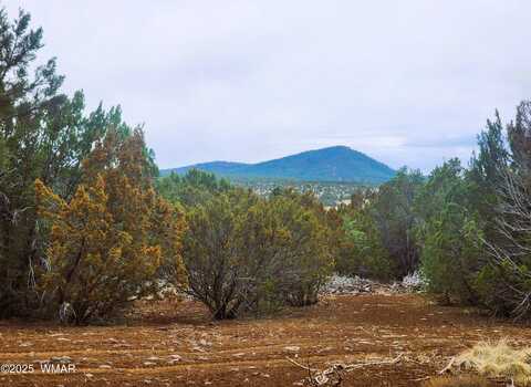 23 N 3084, Vernon, AZ 85940