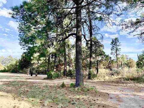 Paradise Valley, TIMBERON, NM 88350