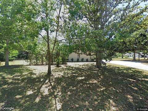 Byrsonima, HOMOSASSA, FL 34446