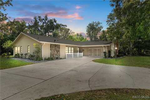Byrsonima, HOMOSASSA, FL 34446