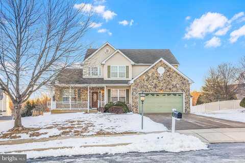 Amber, NORRISTOWN, PA 19401