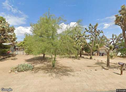 Desert Gold, YUCCA VALLEY, CA 92284