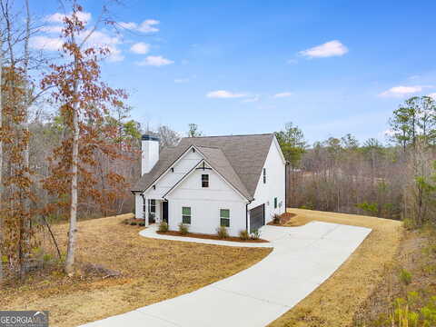 Walt Carmichael, NEWNAN, GA 30263
