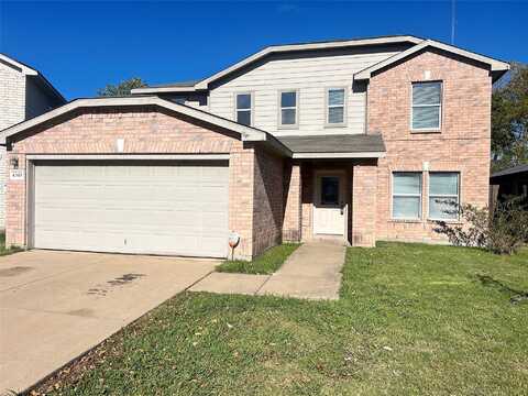Honey Locust, DALLAS, TX 75217