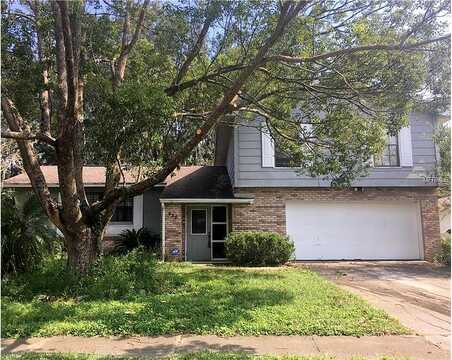 Chokecherry, WINTER SPRINGS, FL 32708