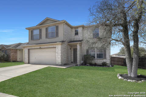 Gold Yarrow, SAN ANTONIO, TX 78260