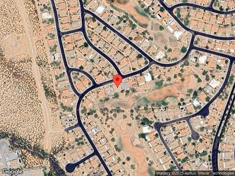 Night Heron, GREEN VALLEY, AZ 85614